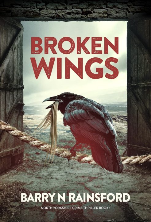 Book cover for Broken Wings